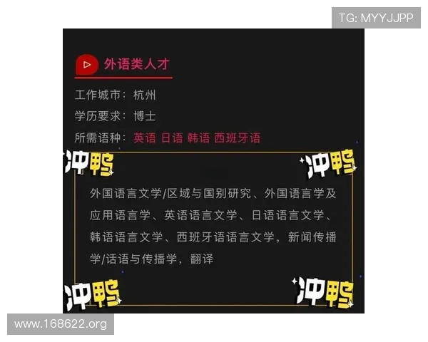 速博士加速器官网：专业网络加速解决方案全面介绍